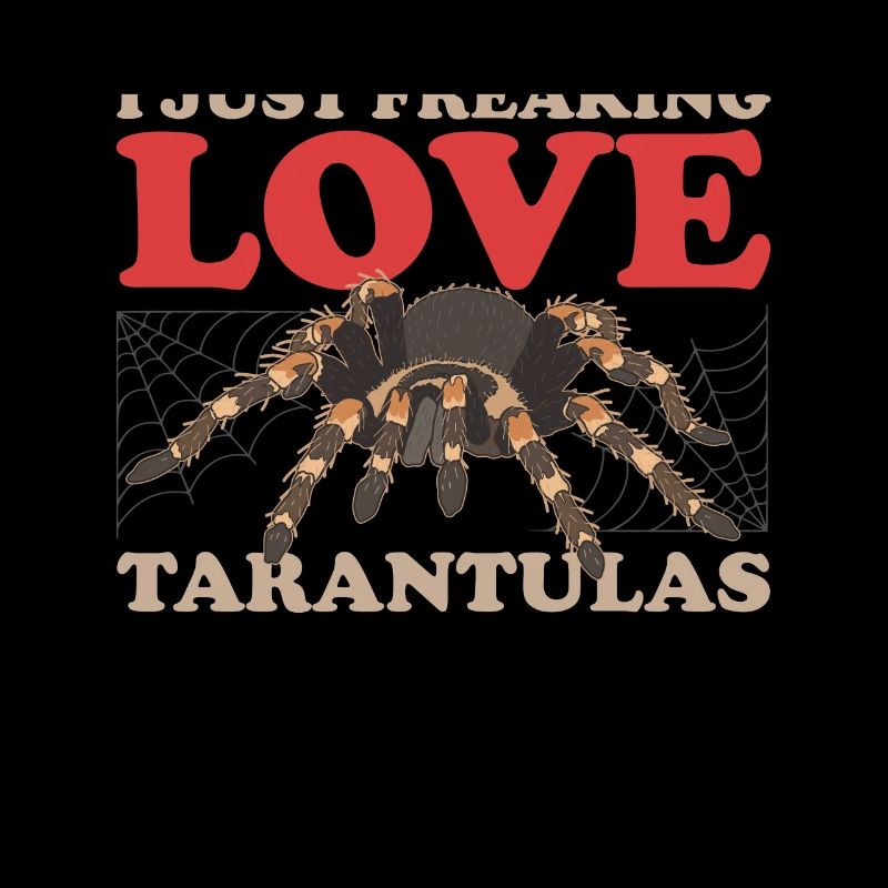 Tarantulas Spider Tarantula Gift