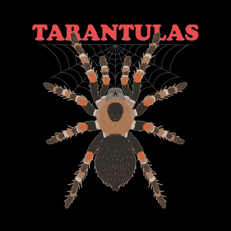 Tarantulas Tarantula Spider Gift