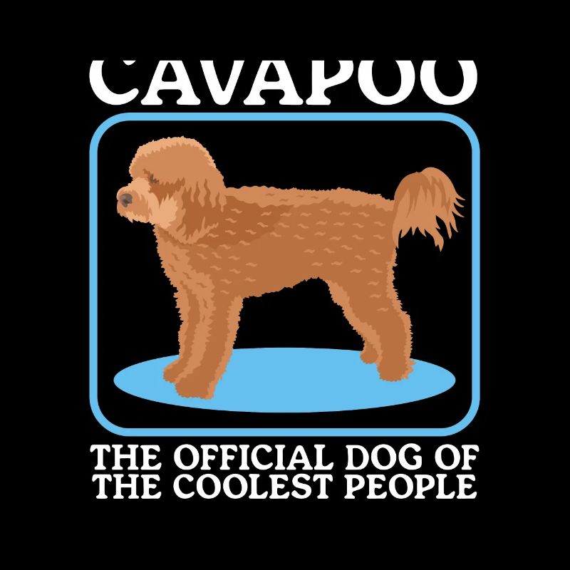 Cavapoo Hund Cavoodle Hundebesitzer Geschenk