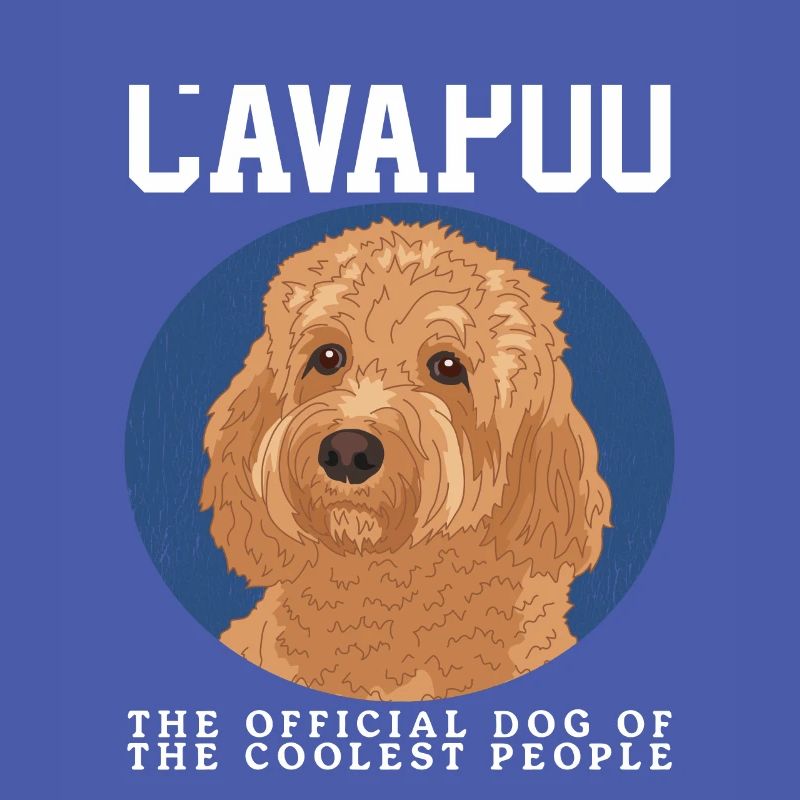 Cavapoo Hunde Cavoodle Hundebesitzer Geschenk