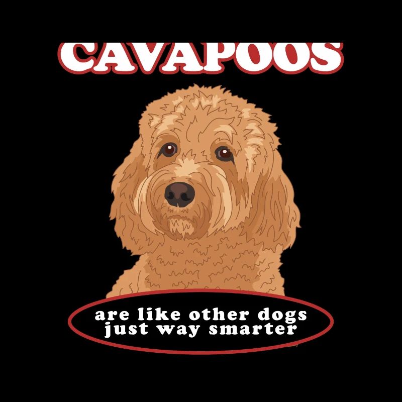 Cavapoo Hund Cavoodle Hundebesitzer Geschenk