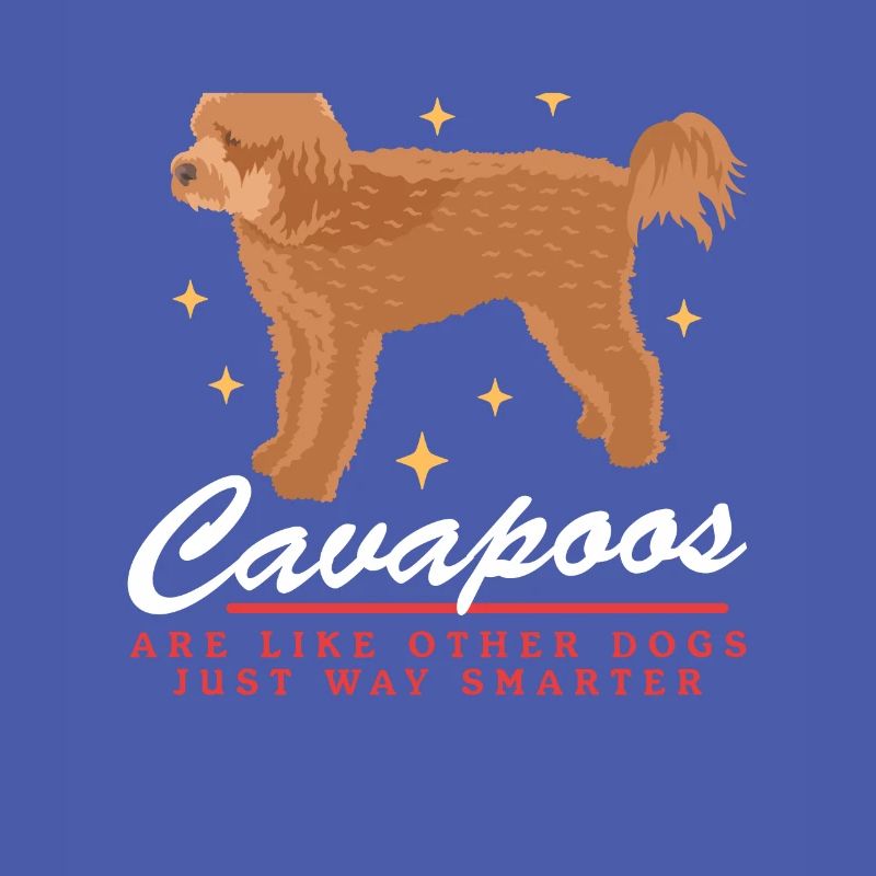 Chiens Cavapoo | Cadeau du propriétaire de chien Cavoodle