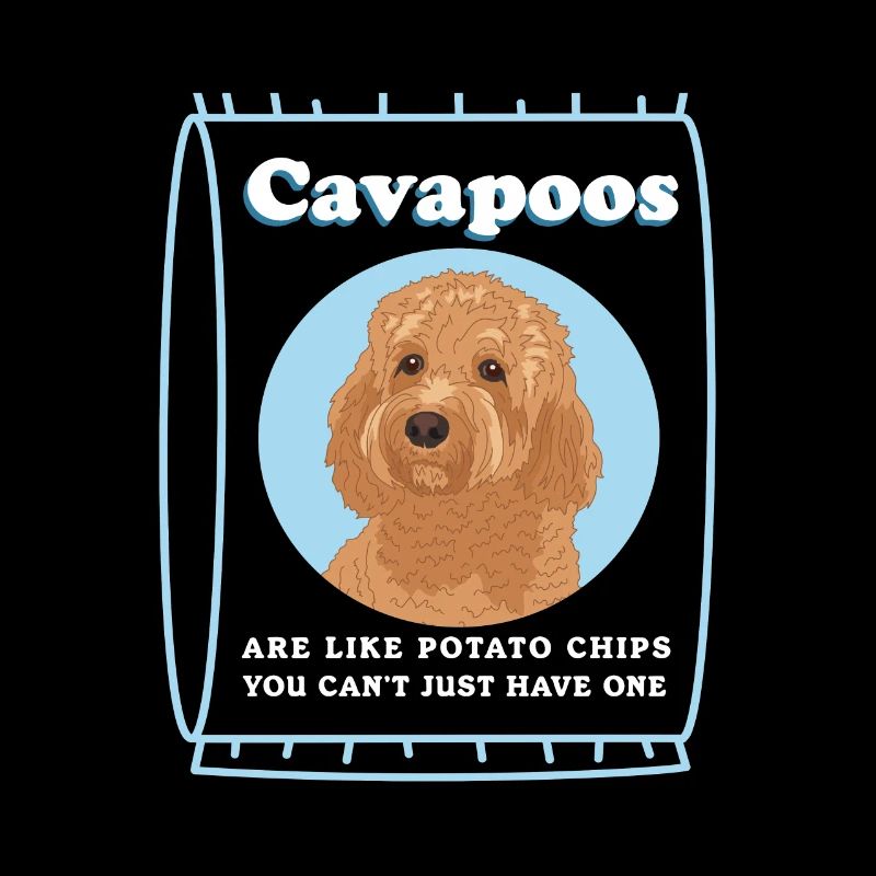 Chien Cavapoo | Cadeau du propriétaire de chien Cavoodle