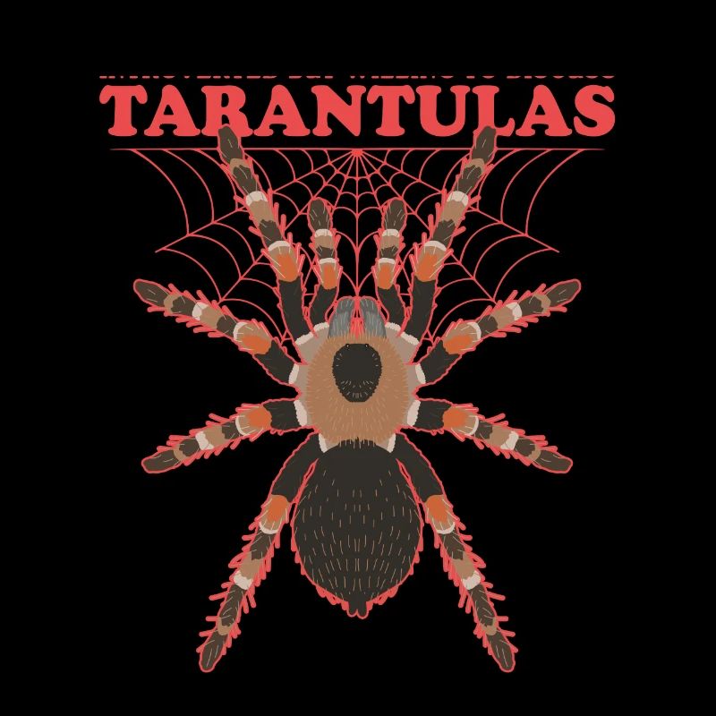 Tarantula Spider Tarantulas Gift