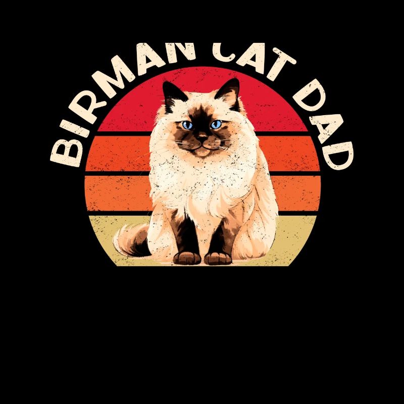 Birman chats papa Birman chat Birman cadeau