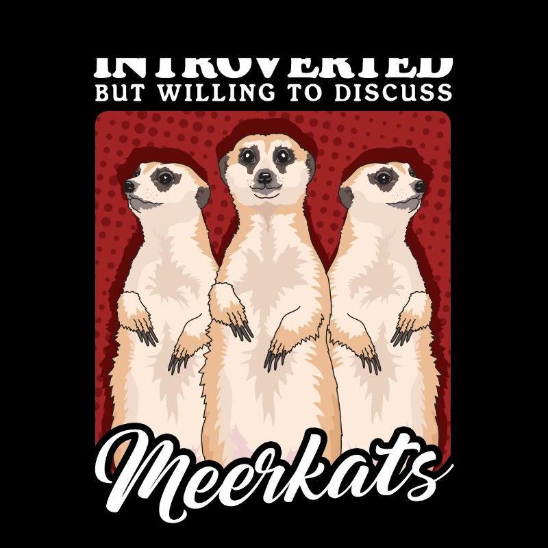 Suricate drôle suricate