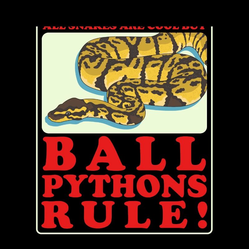 King Python Python Snake Gift