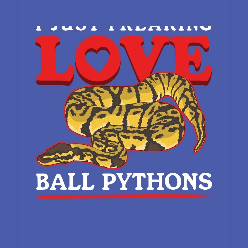 Königspython Schlangen Python Geschenke