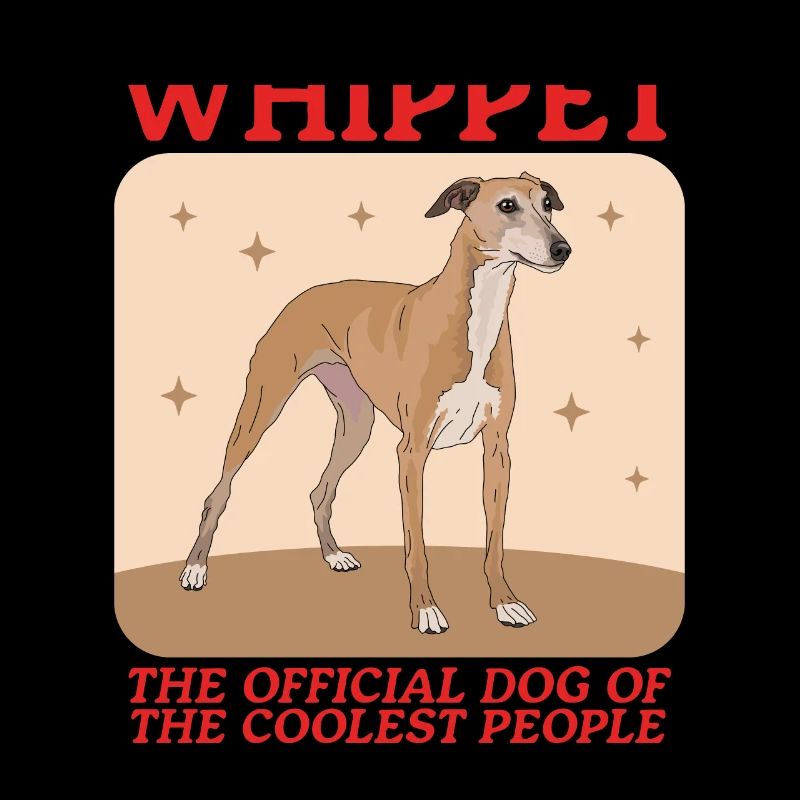 Whippet English Greyhound Gift
