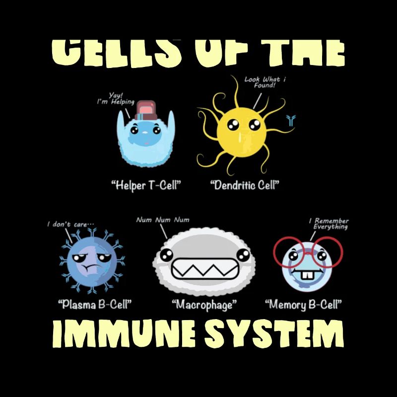 Système immunitaire Cellules Biologie Science cellulaire