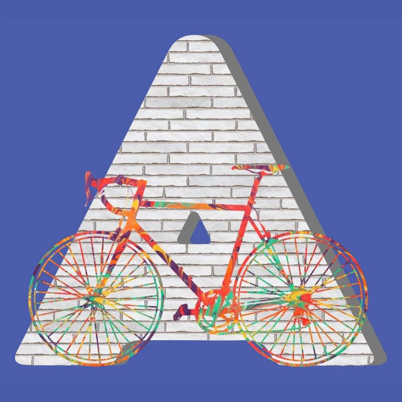 fahrrad e 249 a