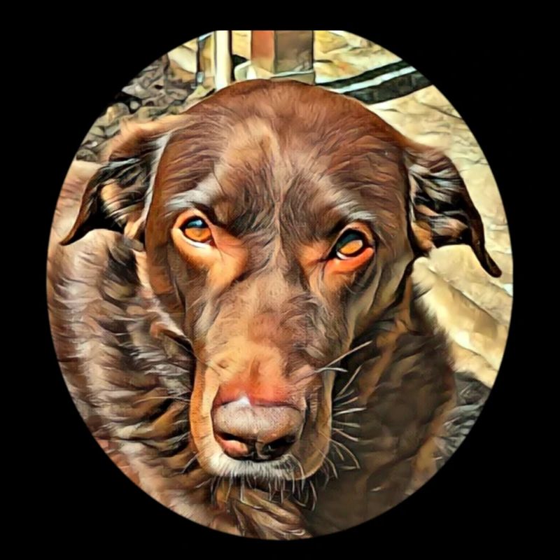 Emmi 1