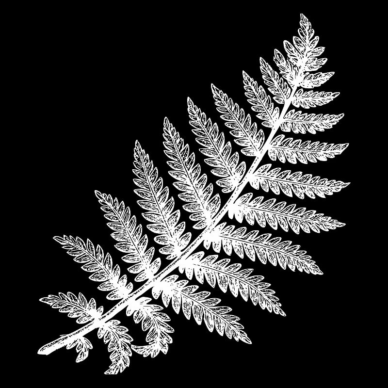 Farnblatt in weißer Silhouette