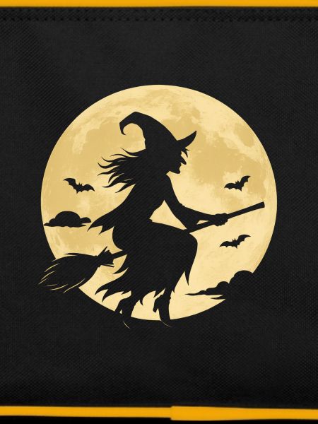 Moonlight Witch on Broom