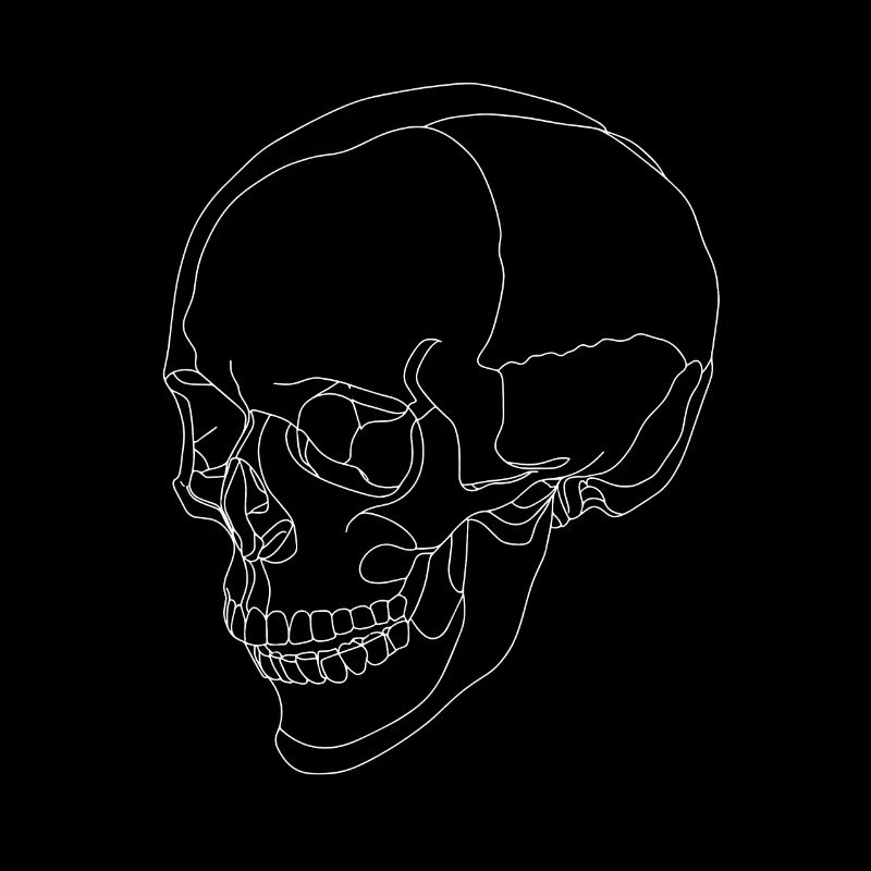 Skull - skull - skeleton - a line