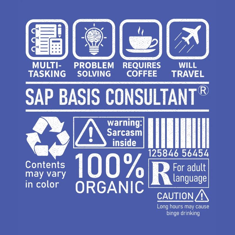 Sap Basis Consultant multi tasking problem solving