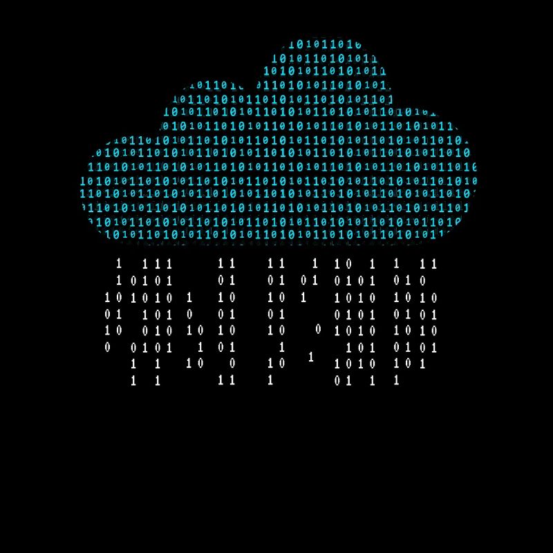 Software Engineer Binary Codes