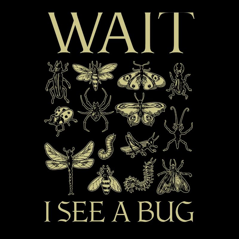 Wait I See A Bug Insects And Bug Lovers