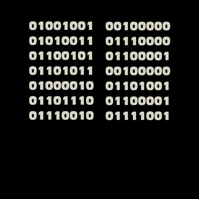 Ich Spreche Binär Code Lustiges Informatiker Coder