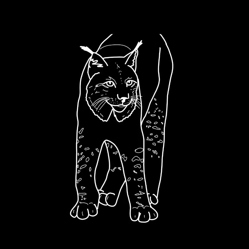 Luchs