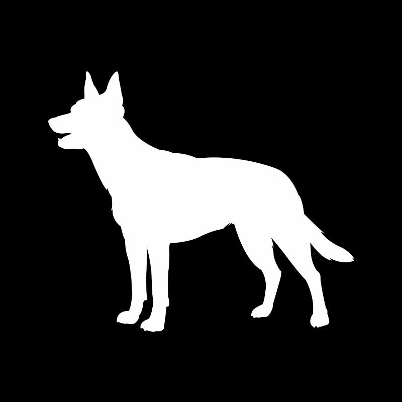 Australian Kelpie