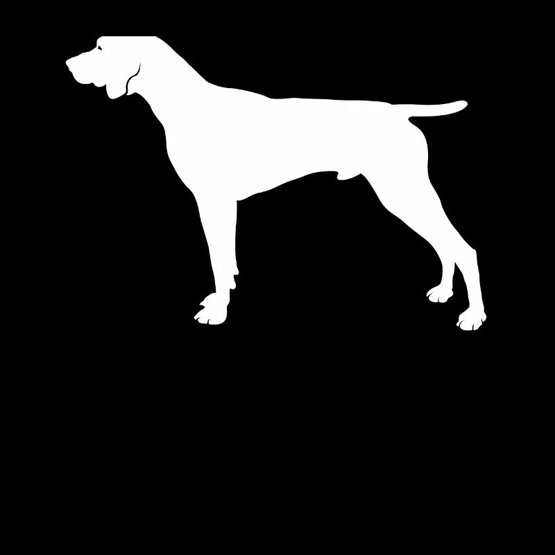 German Shorthair