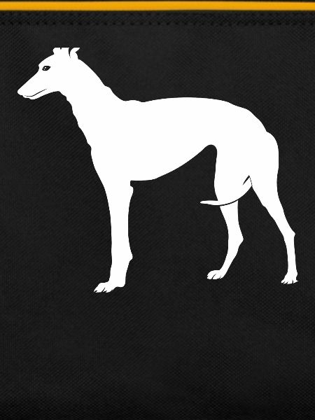 Greyhound Greyhound