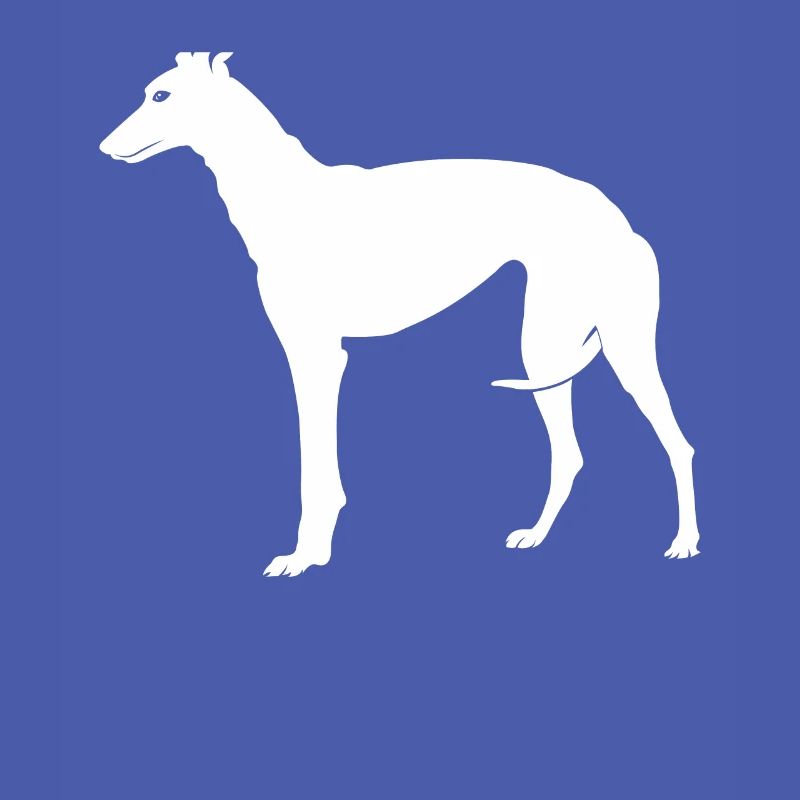 Greyhound greyhound