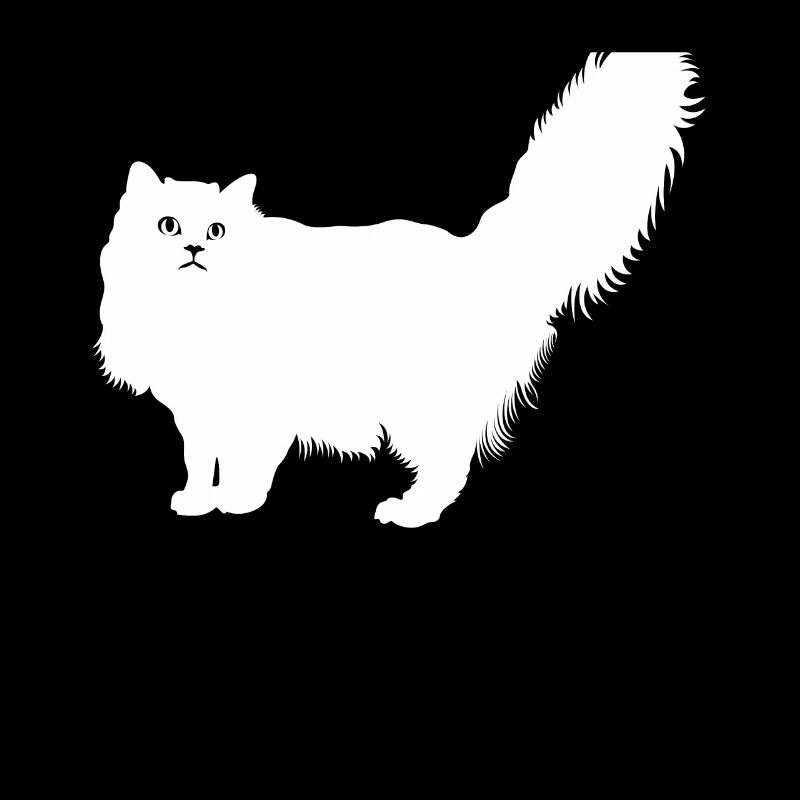 Ragamuffin