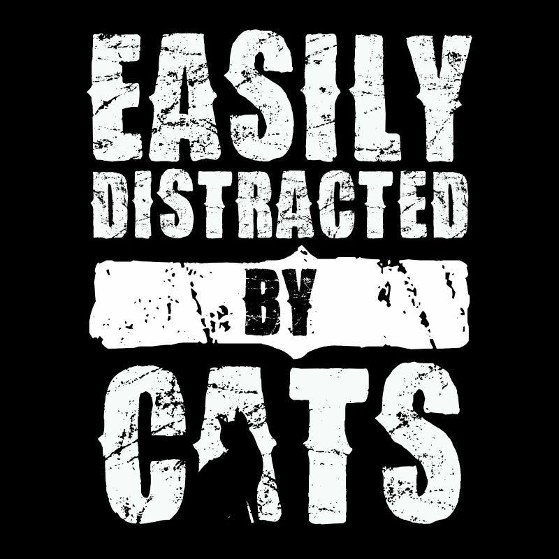 Easily distracted by cats