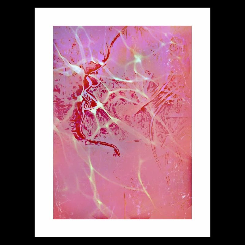 Abstract Pink Reflections