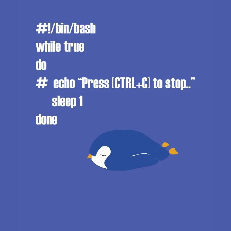 Funny Linux programmer computer scientist gift