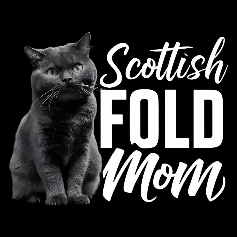 Katze Scottish Fold Geschenk