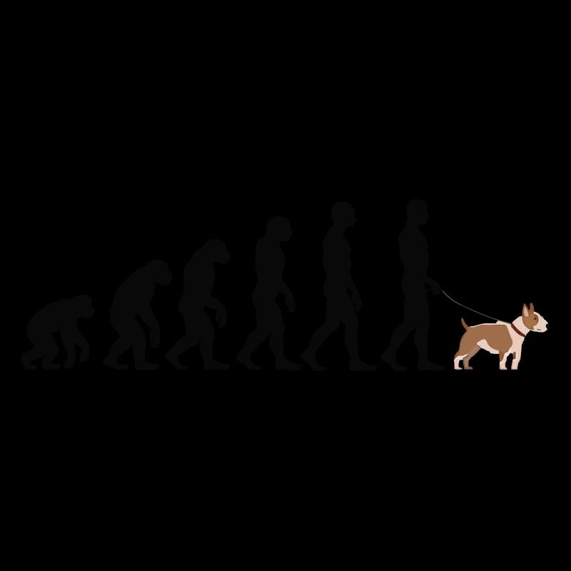 Bullterrier
