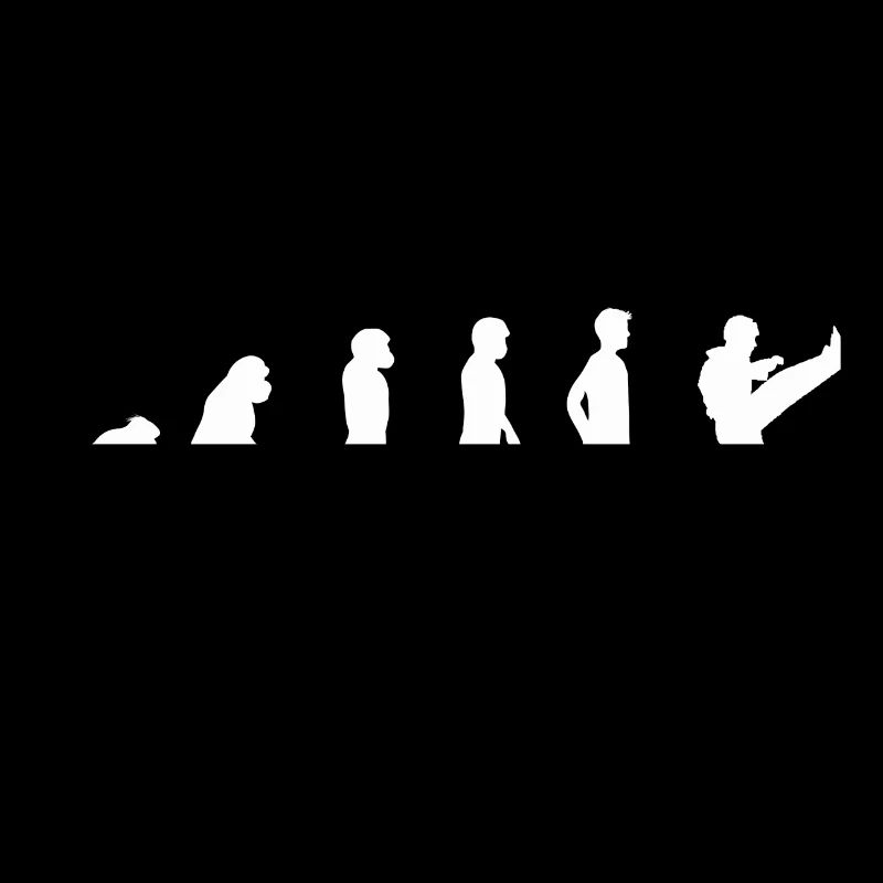 Evolution Karate