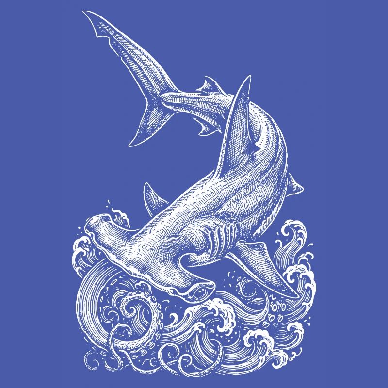 Conception du requin-marteau