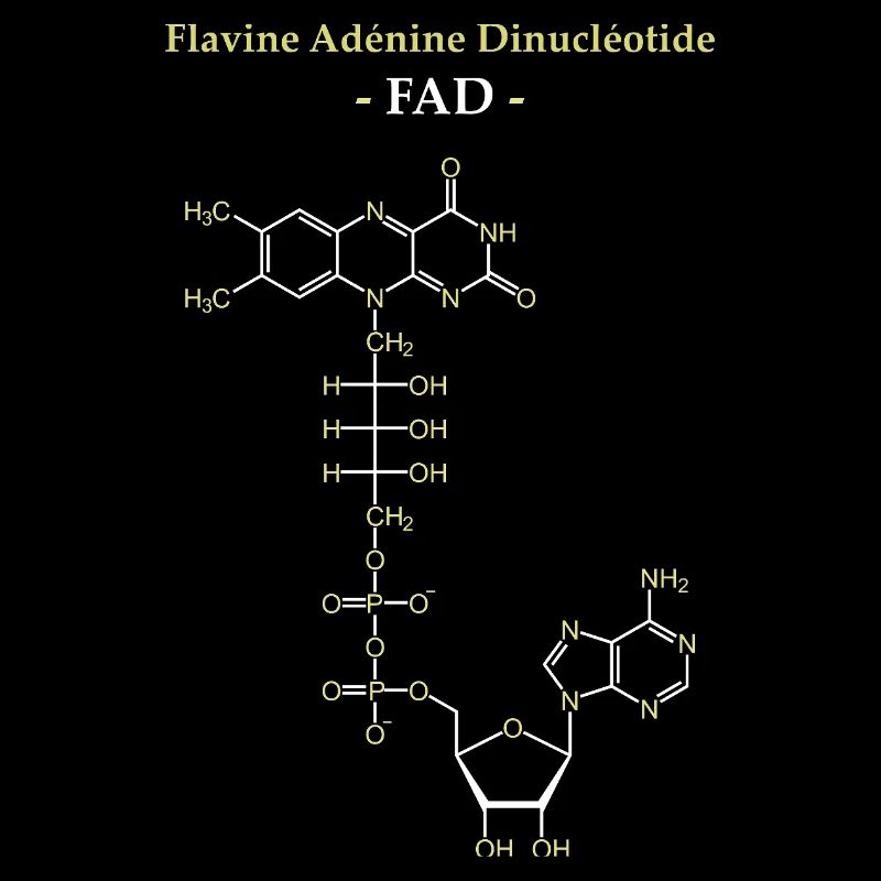 ADF Flavin-Adenin-Cofaktor