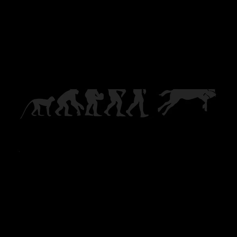Evolution Rodeo