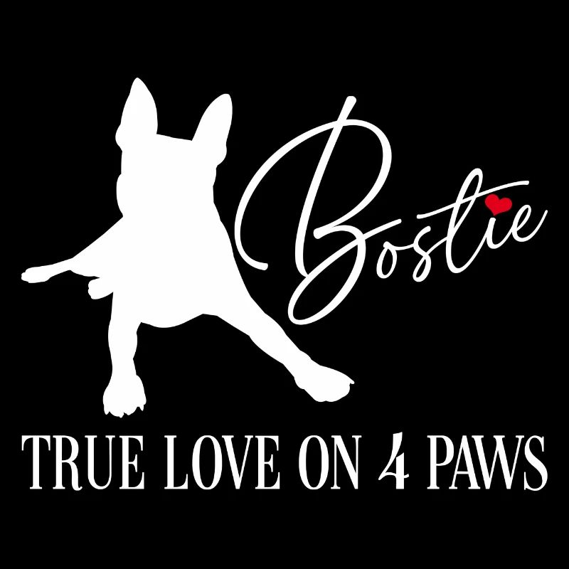 Bostie true love on four paws