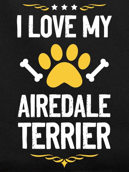 J’adore mon Airedale Terrier