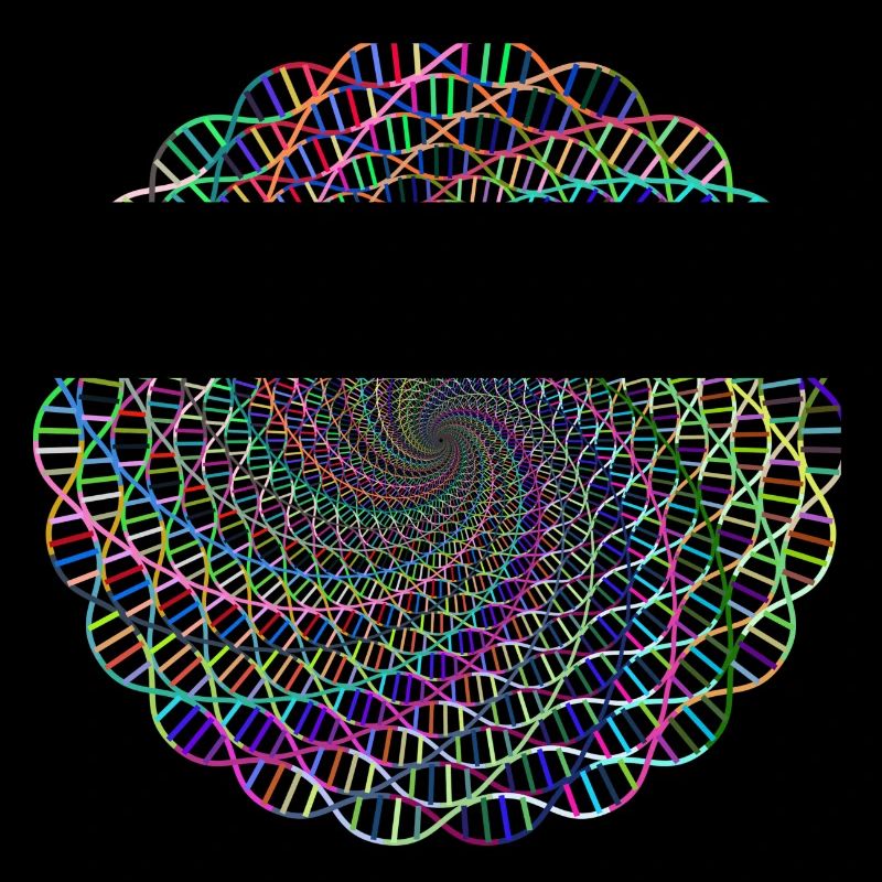 DNA