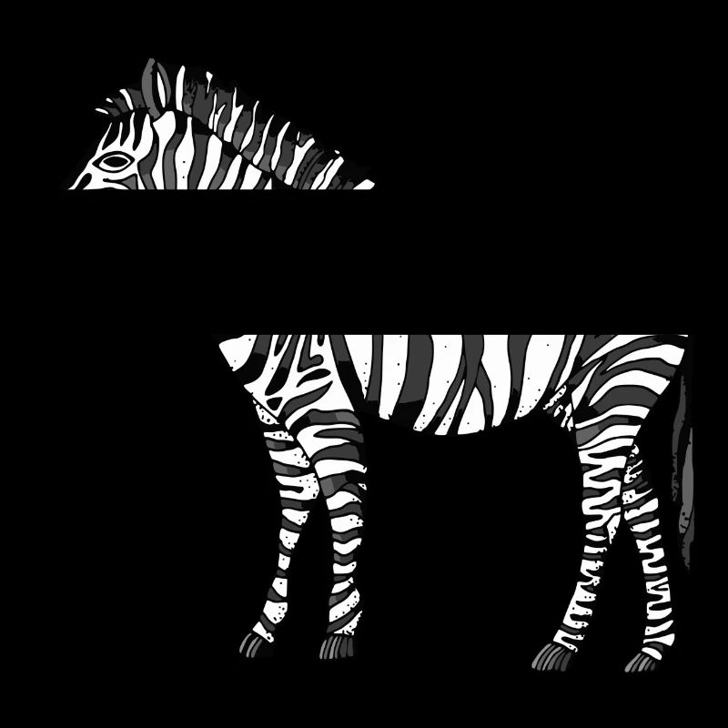 zebra