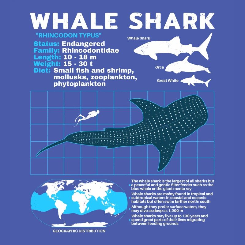Whale Shark Datasheet