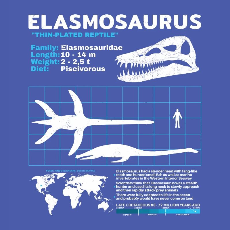 Fiche d’information sur Elasmosaurus