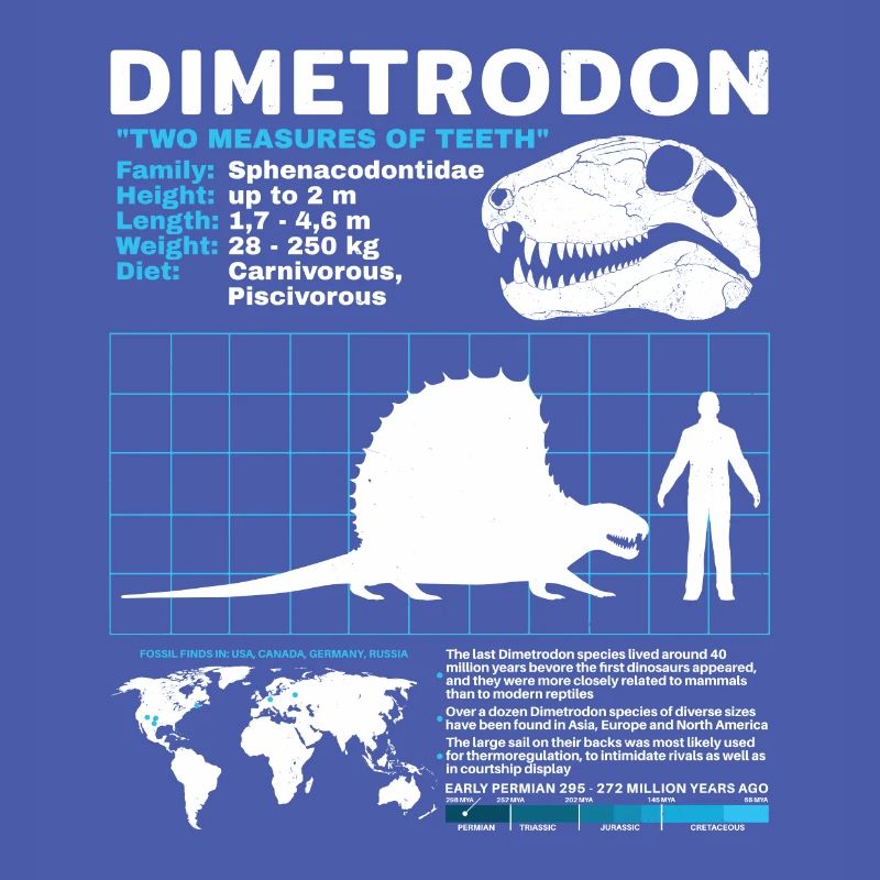 Fiche technique Dimetrodon