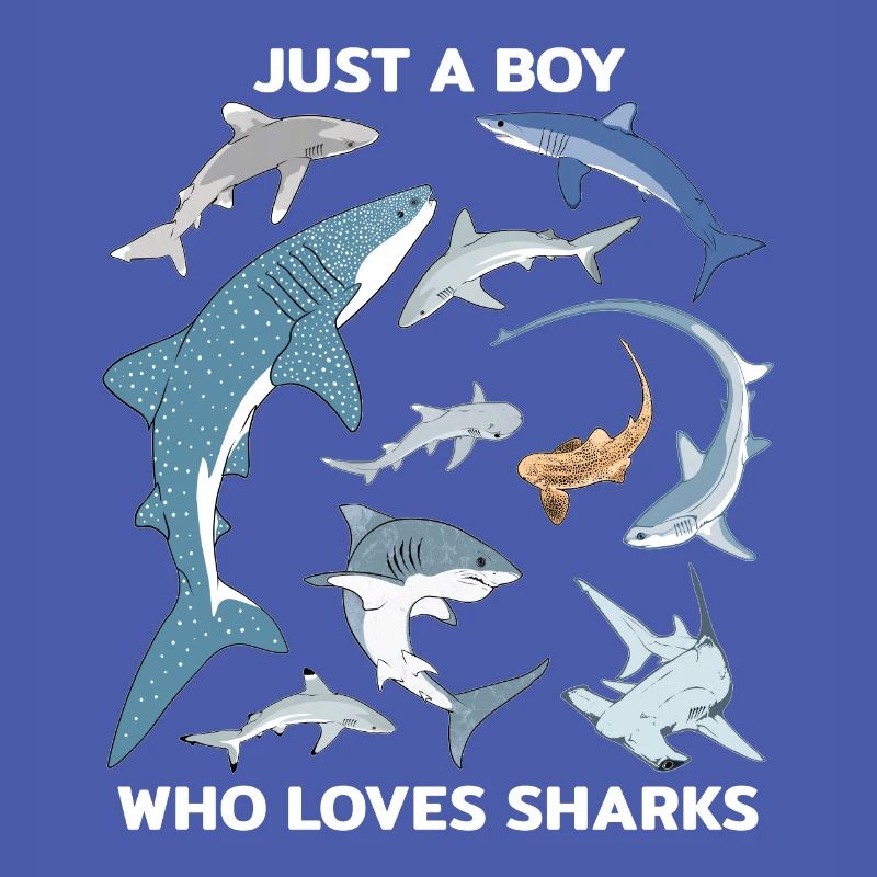 Juste un garçon qui aime les requins