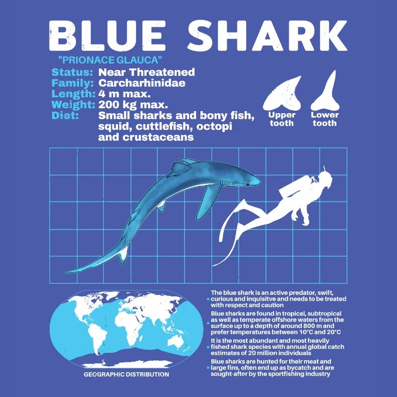 Fiche technique Blue Shark Fiche technique Fiche technique