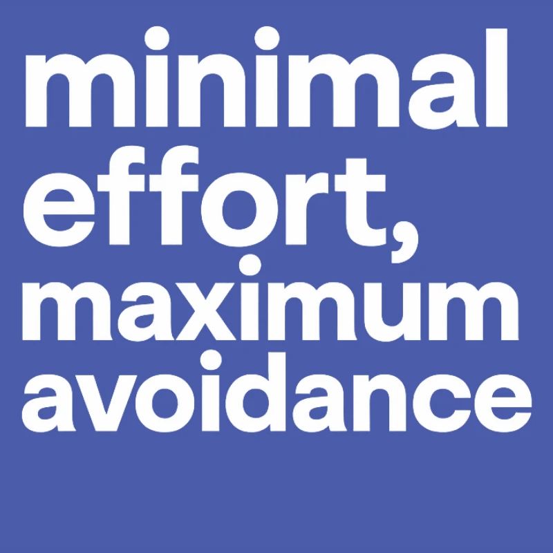minimal effort maximum avoidance | Irony, Minimal