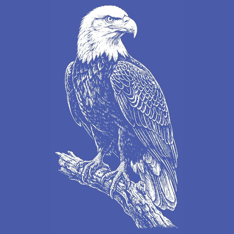 Perched Eagle Silhouette