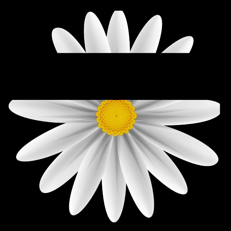 Daisy blanc vers le bas